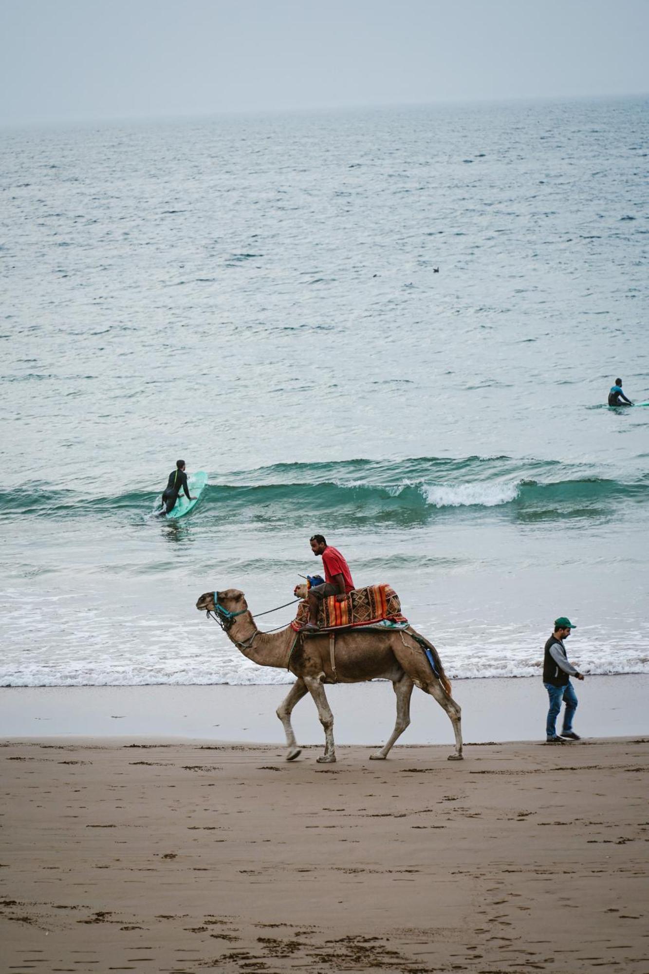 Dar Sultana Guesthouse Surf Morocco Tamraght Zewnętrze zdjęcie